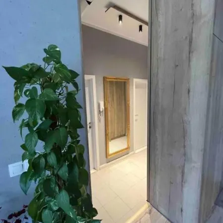 Cozy Apartament