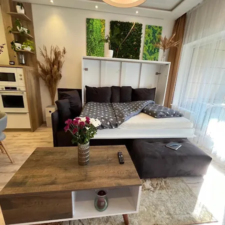 Apartment Cozy